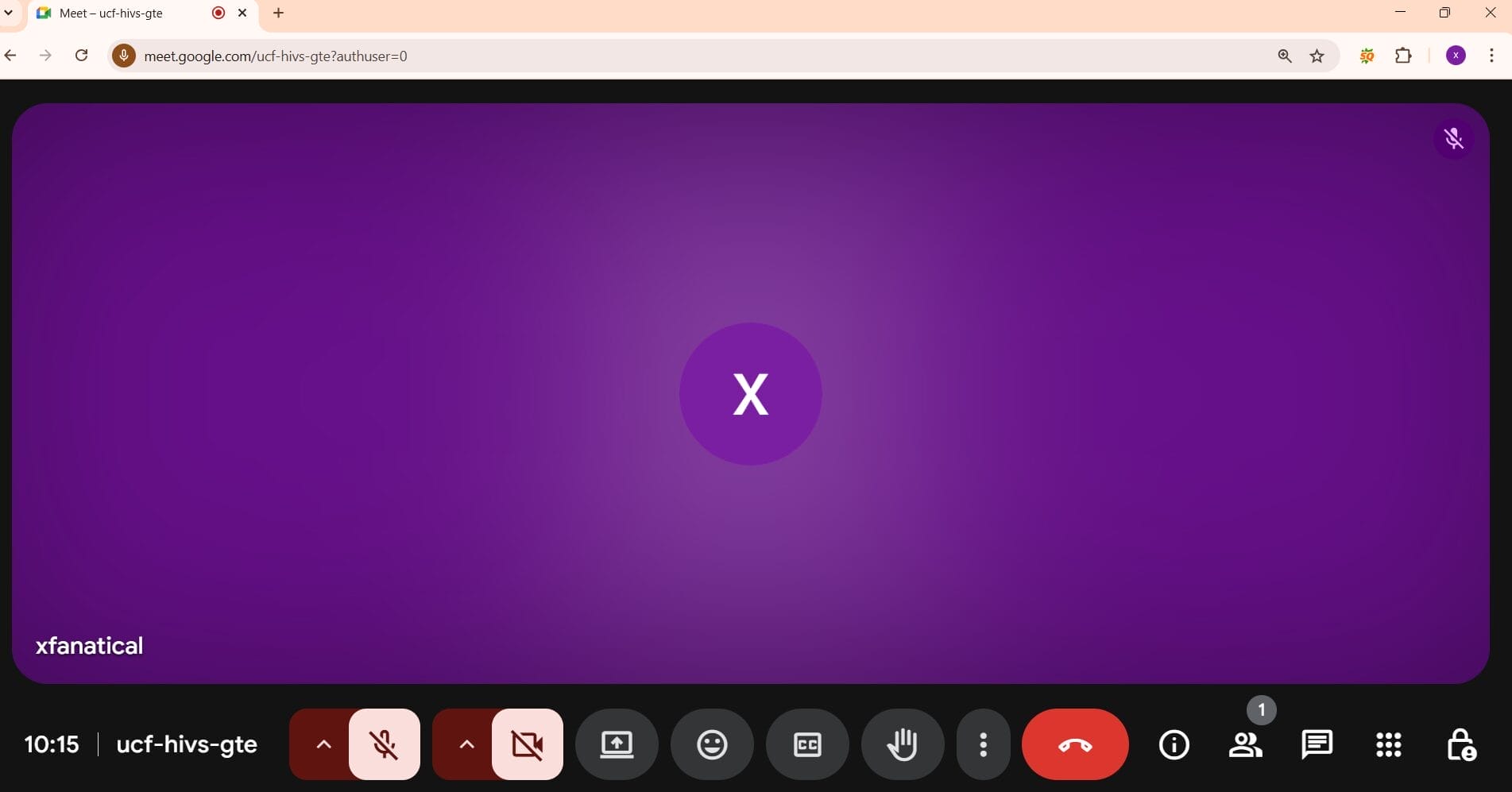 Google Meet Interface