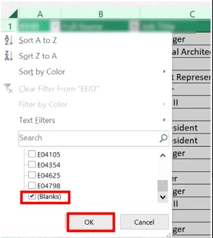 Delete blank rows in Excel – select Blanks and OK