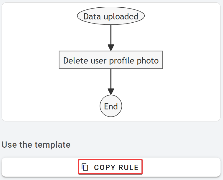 Copy bulk delete Google user profile photos template in xFanatical Foresight.